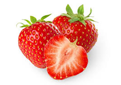 How do you grow from 12 rows of strawberries to a company with more than 6 hectares?