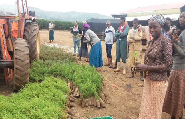 Marginpar Ethiopia undertaking extensive CSR activities
