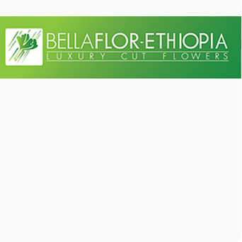 Efficiency and productivity improved after provision of nutritious food at Bellaflor Group