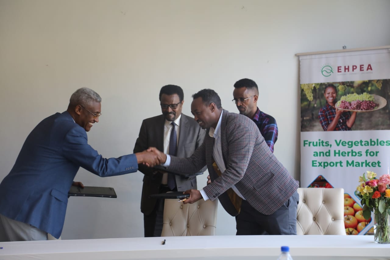 EHPEA, Ethiopian Agricultural Authority and Trade Mark East Africa have linked Memorandum of Understanding for phytosanitary certificate