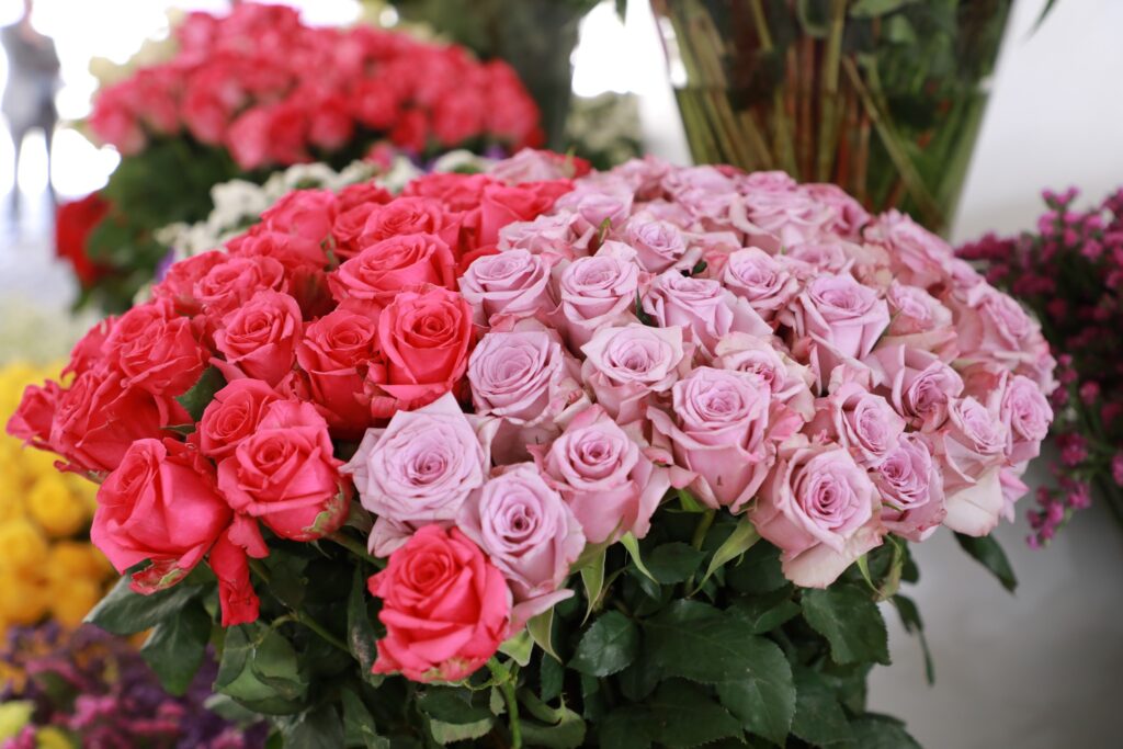 EHPEA Ethiopian flower growers exported 2165.33 tons of flowers for the valentine day to the