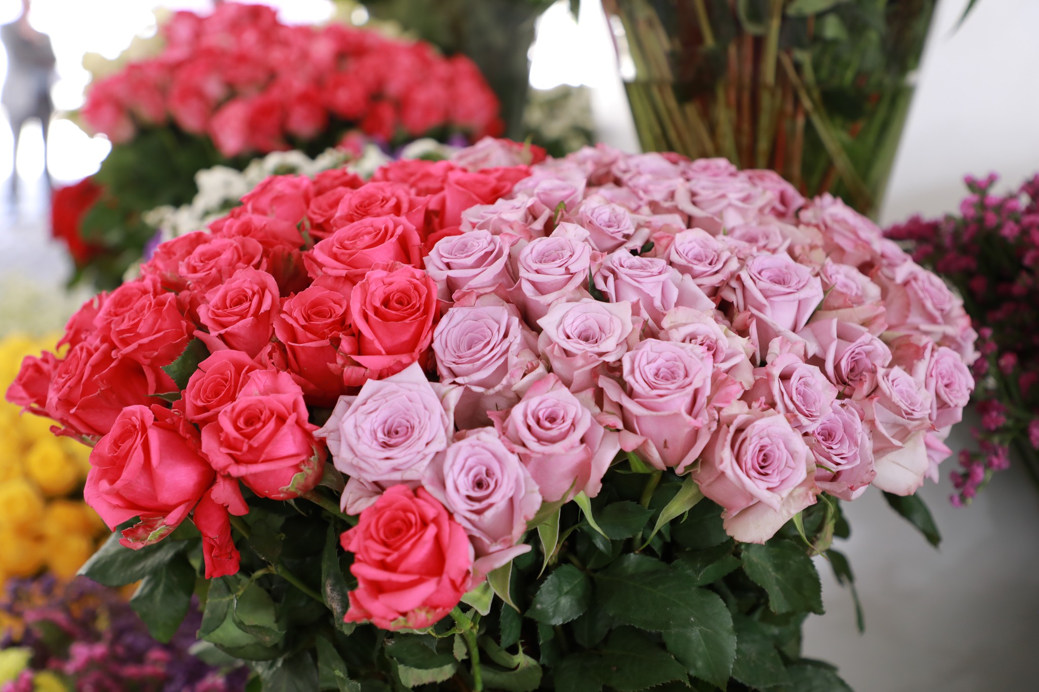 Ethiopian flower growers exported 2165.33 tons of flowers for the valentine day to the global market