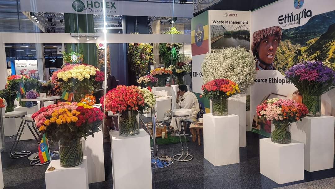 Ethiopian flower farms represented at IFTF EXPO 2023 through EHPEA