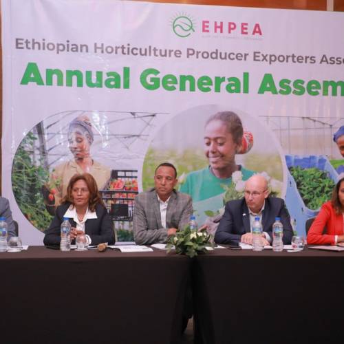 EHPEA held its annual general assembly at Hilton Addis Ababa hotel yesterday.