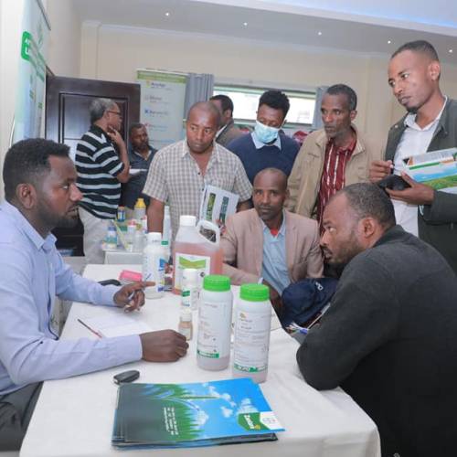 EHPEA Links Input Suppliers with Sidama Farms
