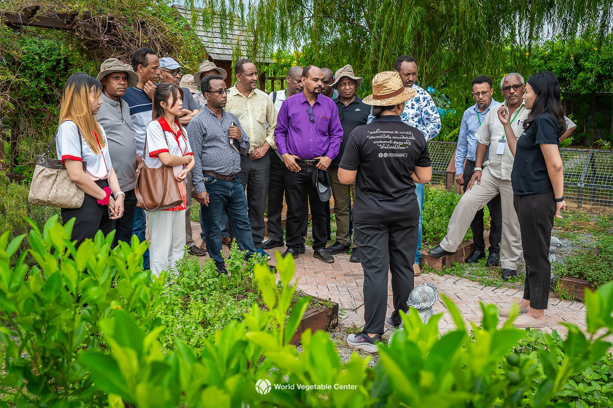 Ethiopian Delegation Gains Valuable Insights from Thailand’s Horticulture Sector