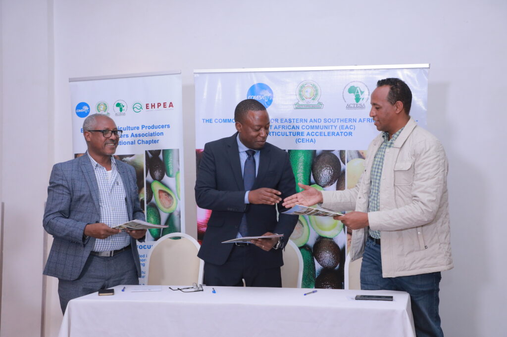 The COMESA EAC Horticulture Accelerator Ethiopia National Chapter has officially been launched