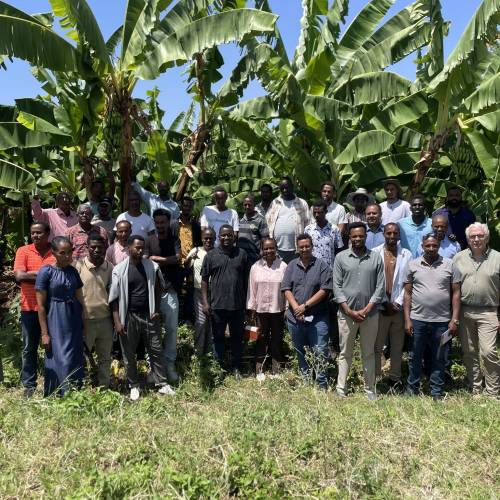 From Dialogue to Action: EHPEA and PUM Roll out Practical Banana Postharvest, Cold Chain Training
